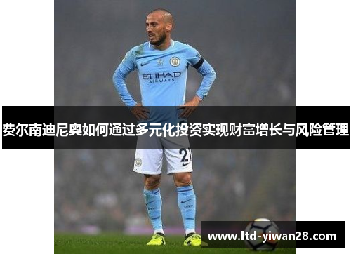 费尔南迪尼奥如何通过多元化投资实现财富增长与风险管理