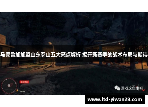 马德鲁加加盟山东泰山五大亮点解析 揭开新赛季的战术布局与期待