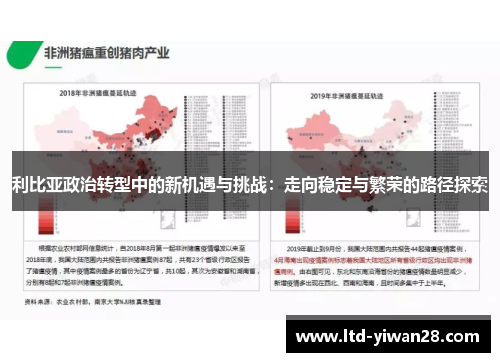 利比亚政治转型中的新机遇与挑战：走向稳定与繁荣的路径探索