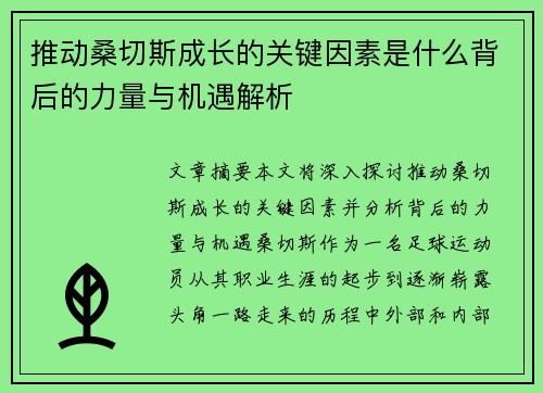 推动桑切斯成长的关键因素是什么背后的力量与机遇解析